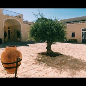 Meet your Posher, Ellen